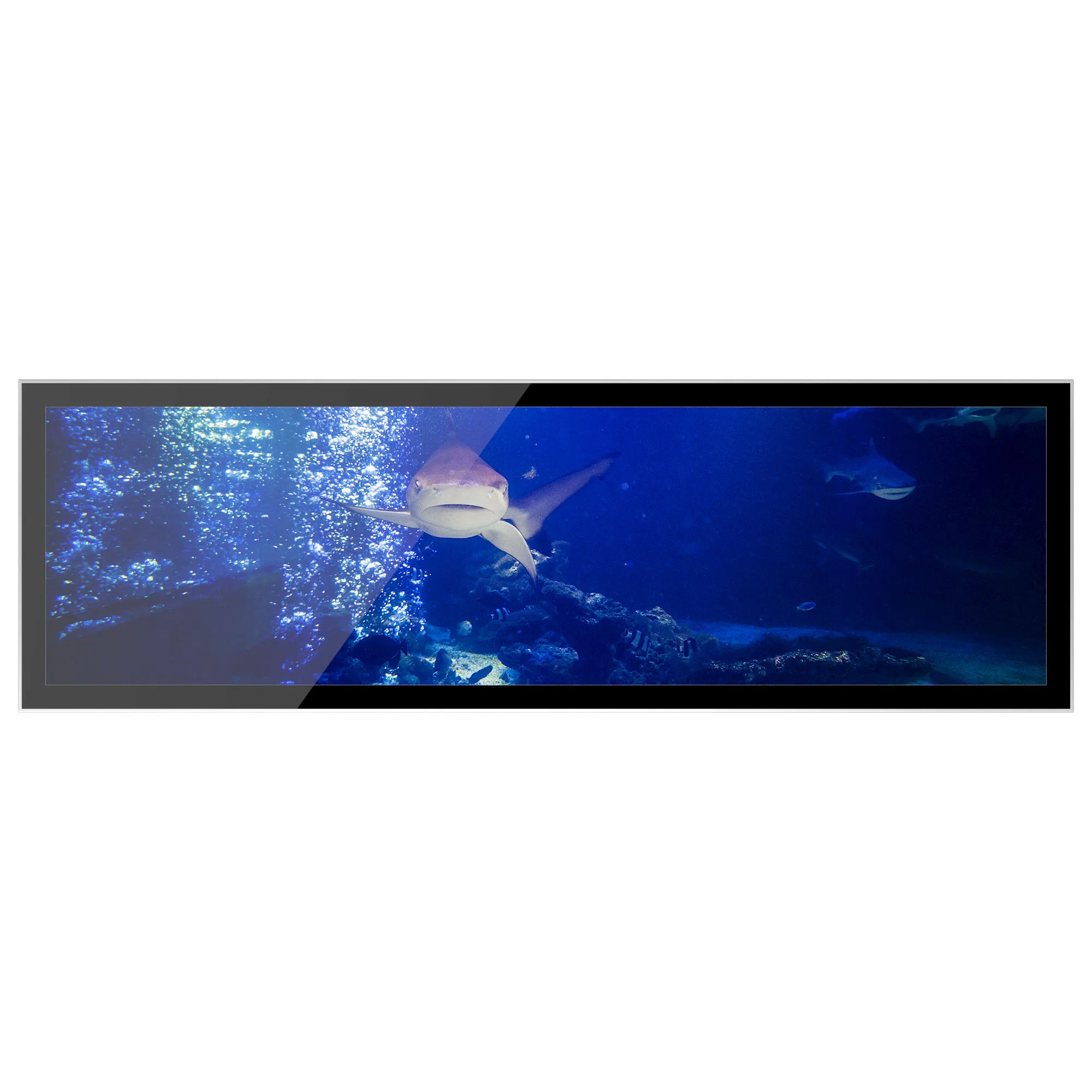Factory outletsoutdoor Indoor glass LED film display transparent panels led strip display screen