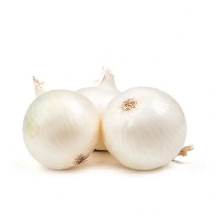 Fresh Onion In Bulk Cheap Red/Yellow Onions For Sale