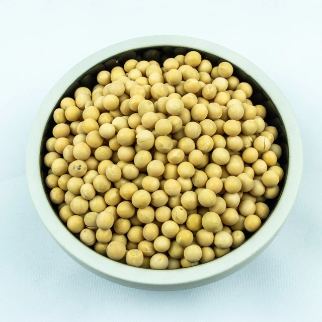 
China new crop non gmo beans soya bean 
