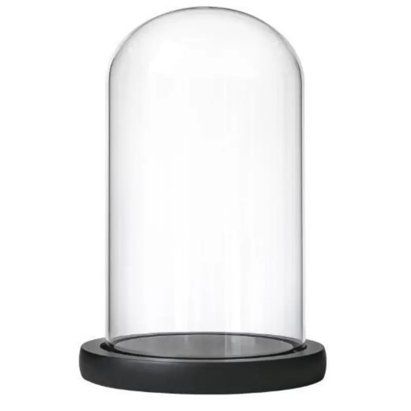 Glass Dome Preserved Flower Rose Wholesale Glass Dome With Wood Base For Valentine Day