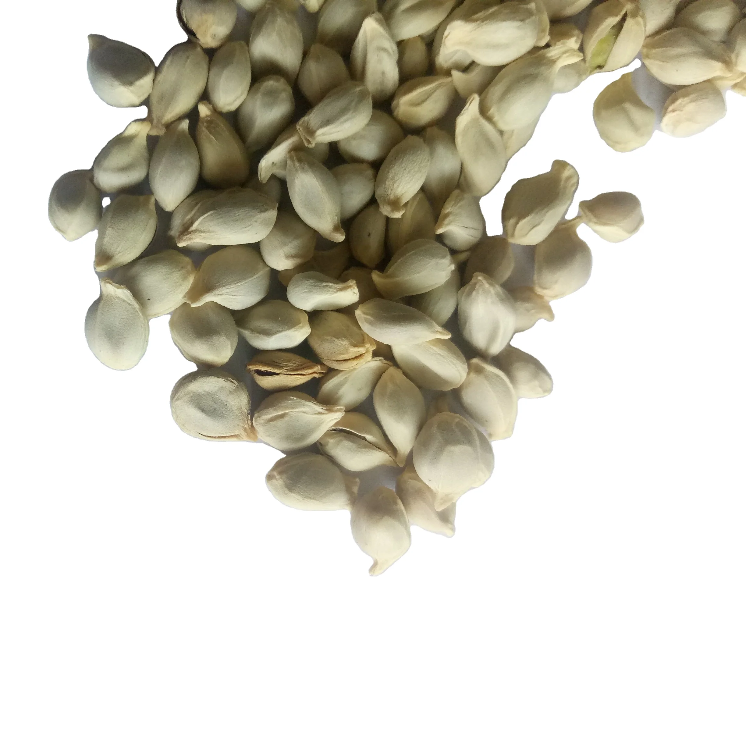 
Dry natural raw whole Tangerine Seed for planting 