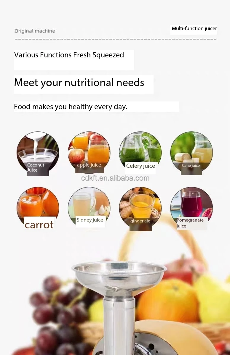 Freshly Squeezed Fresh Fruit Hot Selling Juicer Extractor Machine Orange Juicer Slow Cold Press Juicer Compact Size Lower Noise