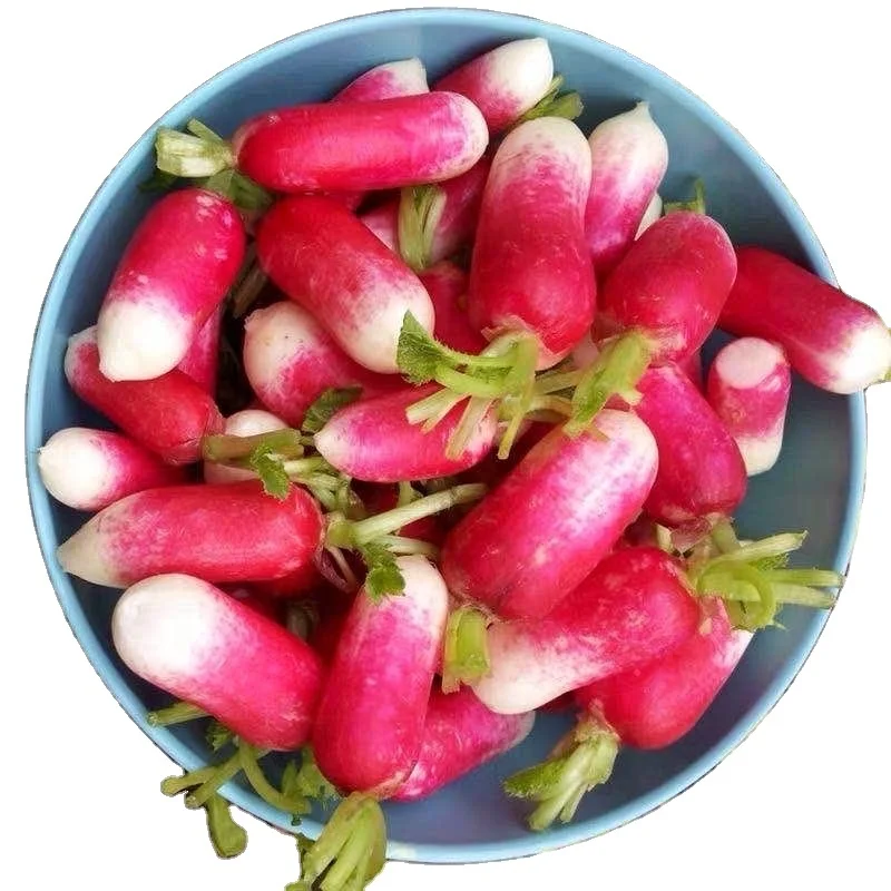 Органические мини-овощи с высокой степенью прорастания, быстрый рост, семена вишневого редиса для посадки