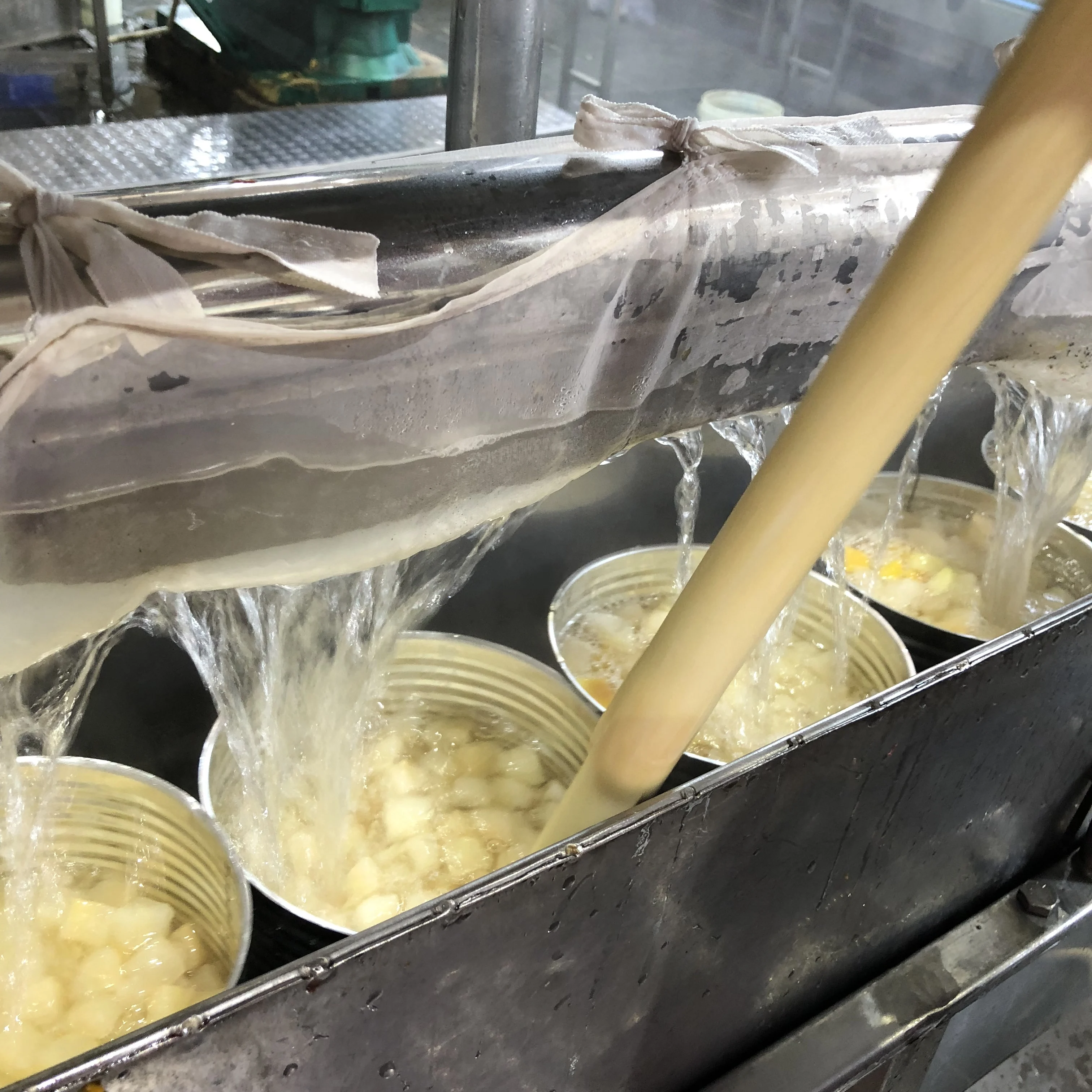 Hot Selling Best Price Fresh High Quality Tasty Canned Snow Pear in Light Syrup 2024 New Season OEM