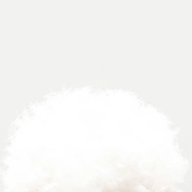 
High Quality Cheap Wholesale So Soft White 90% Duck Down And 10% Feather For Pillow Quilt Filling 