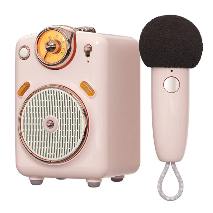 Portable Wireless Speaker with Microphone Karaoke Function with Voice Change FM Radio TF Card