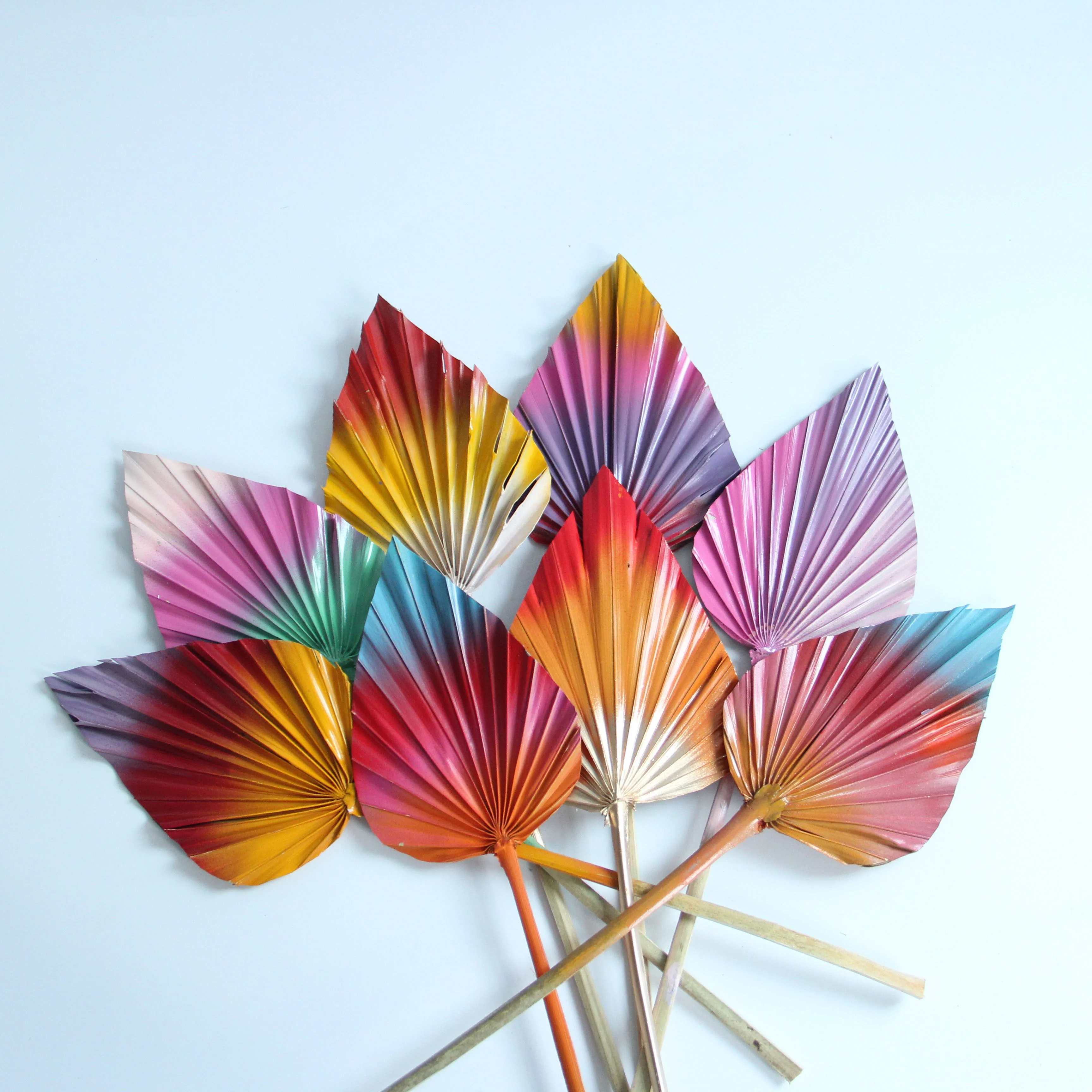 Natural Preserved Dried Flowers Pampas Mini White Palm Leaves Palm Tree Leaves Flowers Tropical Dry Spears Fan Leaf