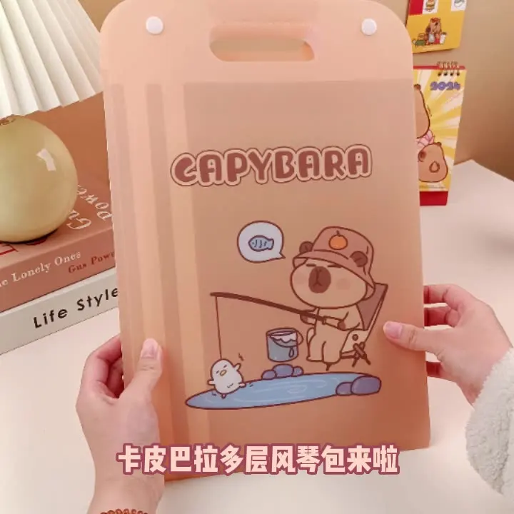 Папка с мультяшным рисунком