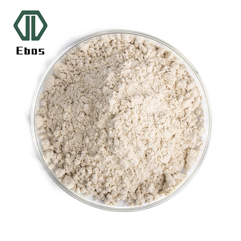 Hot Sale Nattokinase powder high quality Nattiase fermented soybean extracNattokinase 20000fu/g with best price