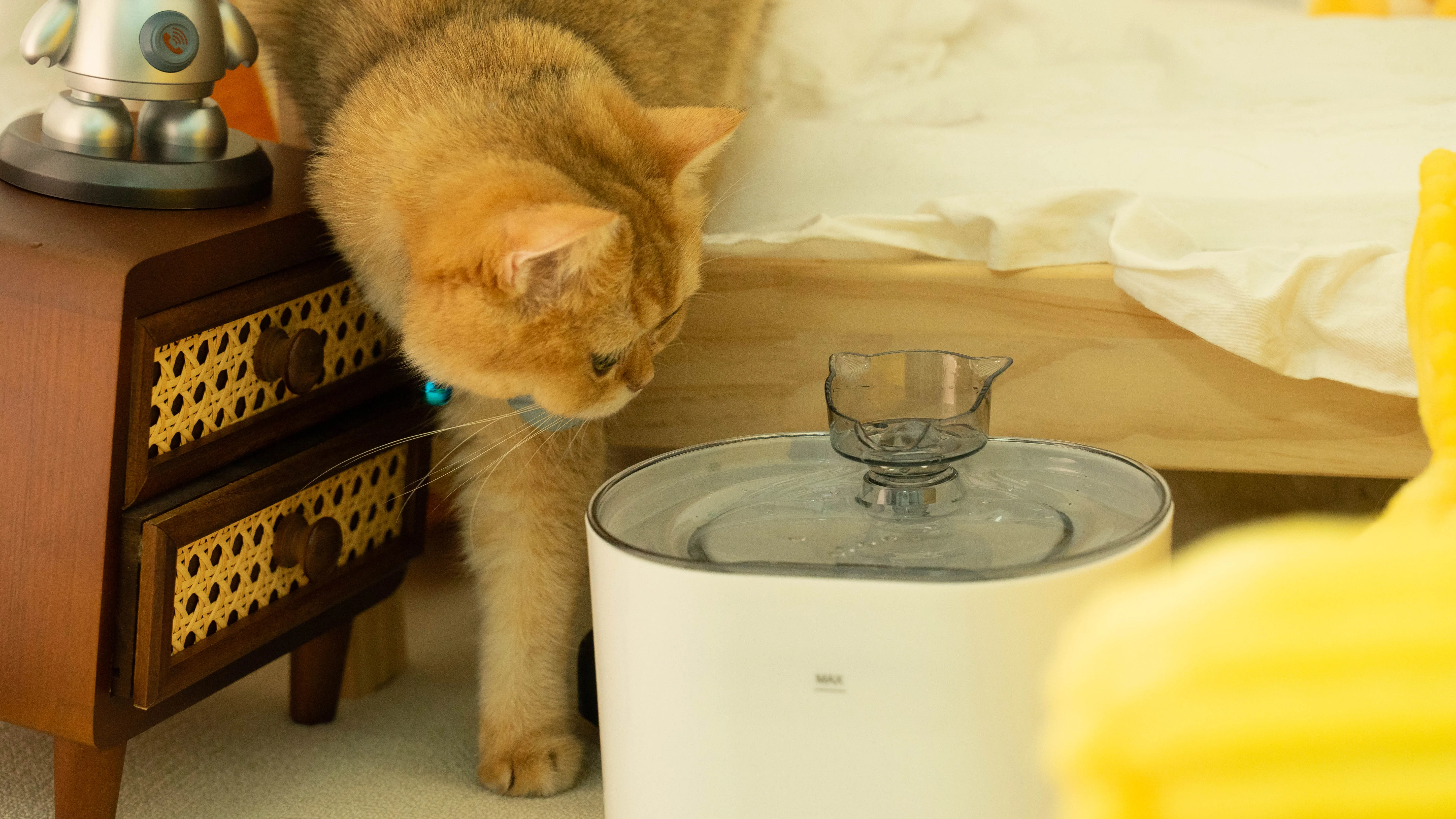 2.2L Automatic Water Fountain for Cats Pet Hydration with Filter