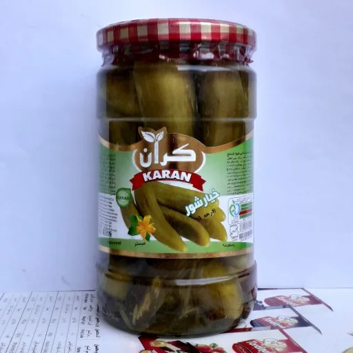 Wholesale Factory Direct Supply First Grade/Premium Pickled Cucumber - High Quality Salted Grapevine Leaves in Jar