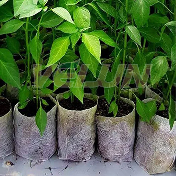 Grow bag plant/seedling bag/nursery bag non woven for orchard