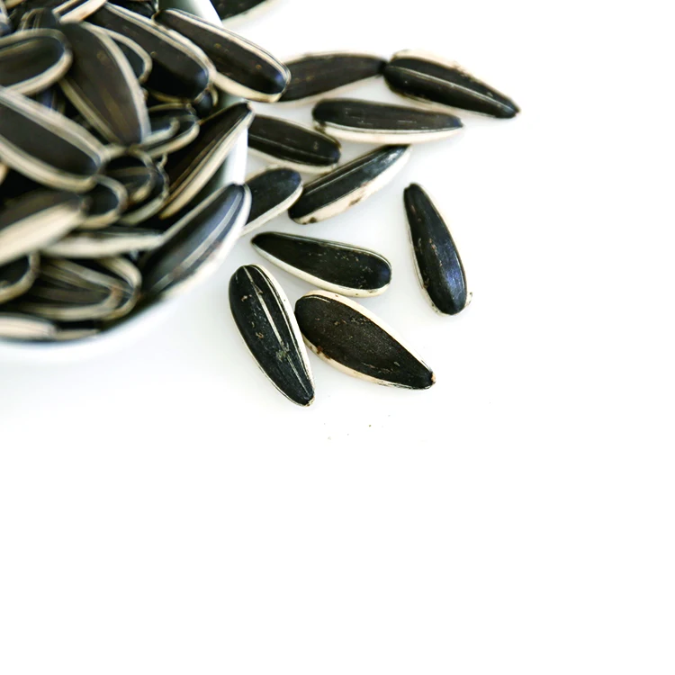 Экспорт необработанного монгольского подсолнечника, оптовая продажа, изображения семян цветка, реальные