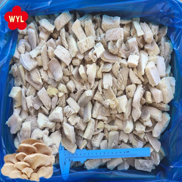 Hot selling IQF Fresh premium mushroom frozen oyster mushroom