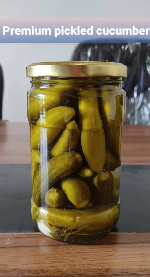 Wholesale Factory Direct Supply First Grade/Premium Pickled Cucumber - High Quality Salted Grapevine Leaves in Jar