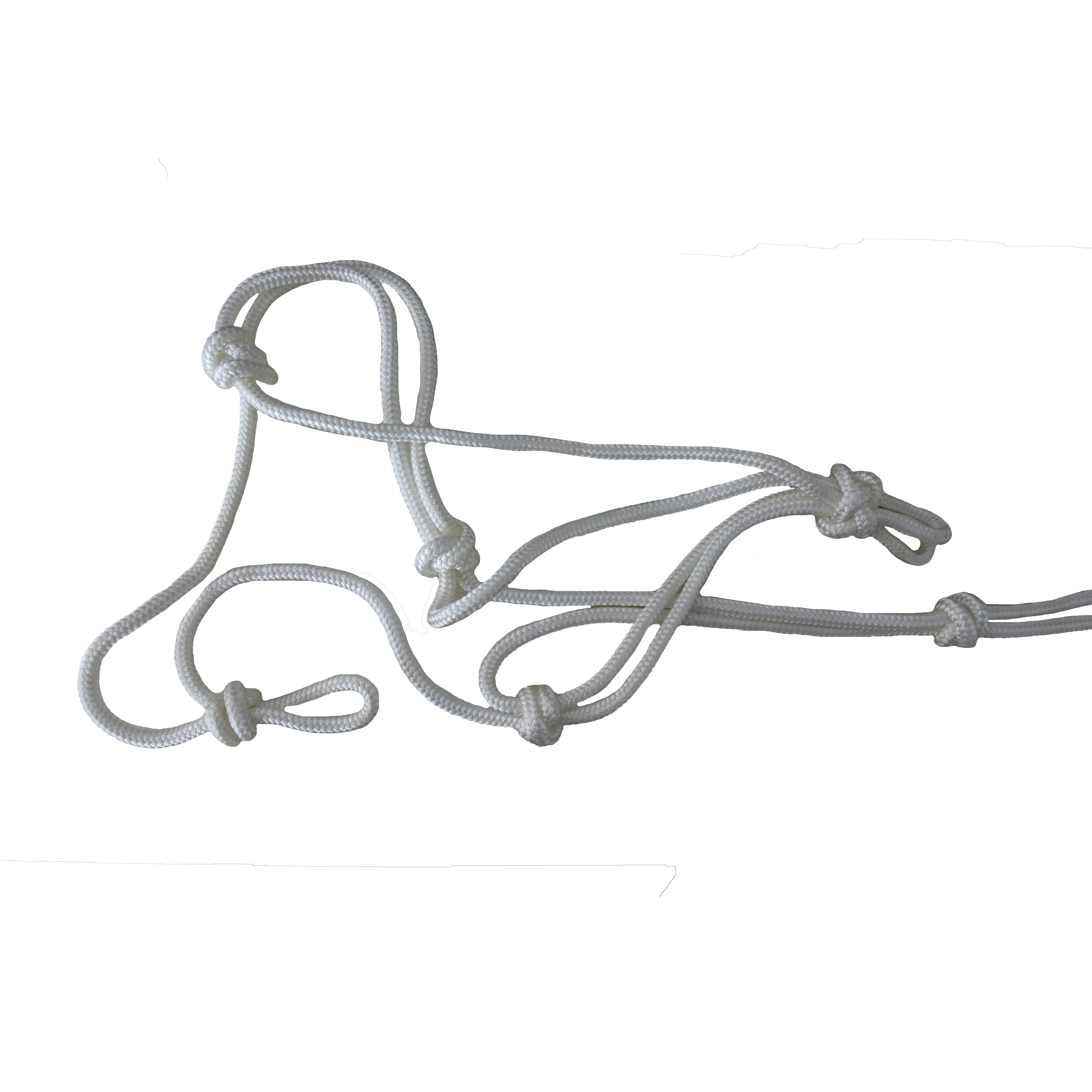 Customize Braided Horse Lead Rope,Polypropylene Braided Rope Animal Rope Horse Halter