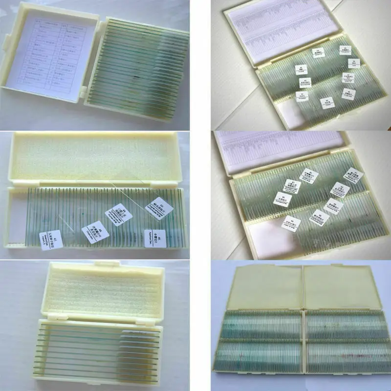 Glass Prepared Microscope Slides W/ Box for Biological Basic Science Lab