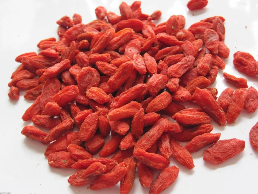 New Harvest Organic Goji Berries Natural Agriculture Product