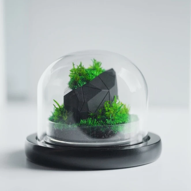Artistic Creation Natural Moss Art Decoration Preserved Moss Stabilized Moss Terrarium