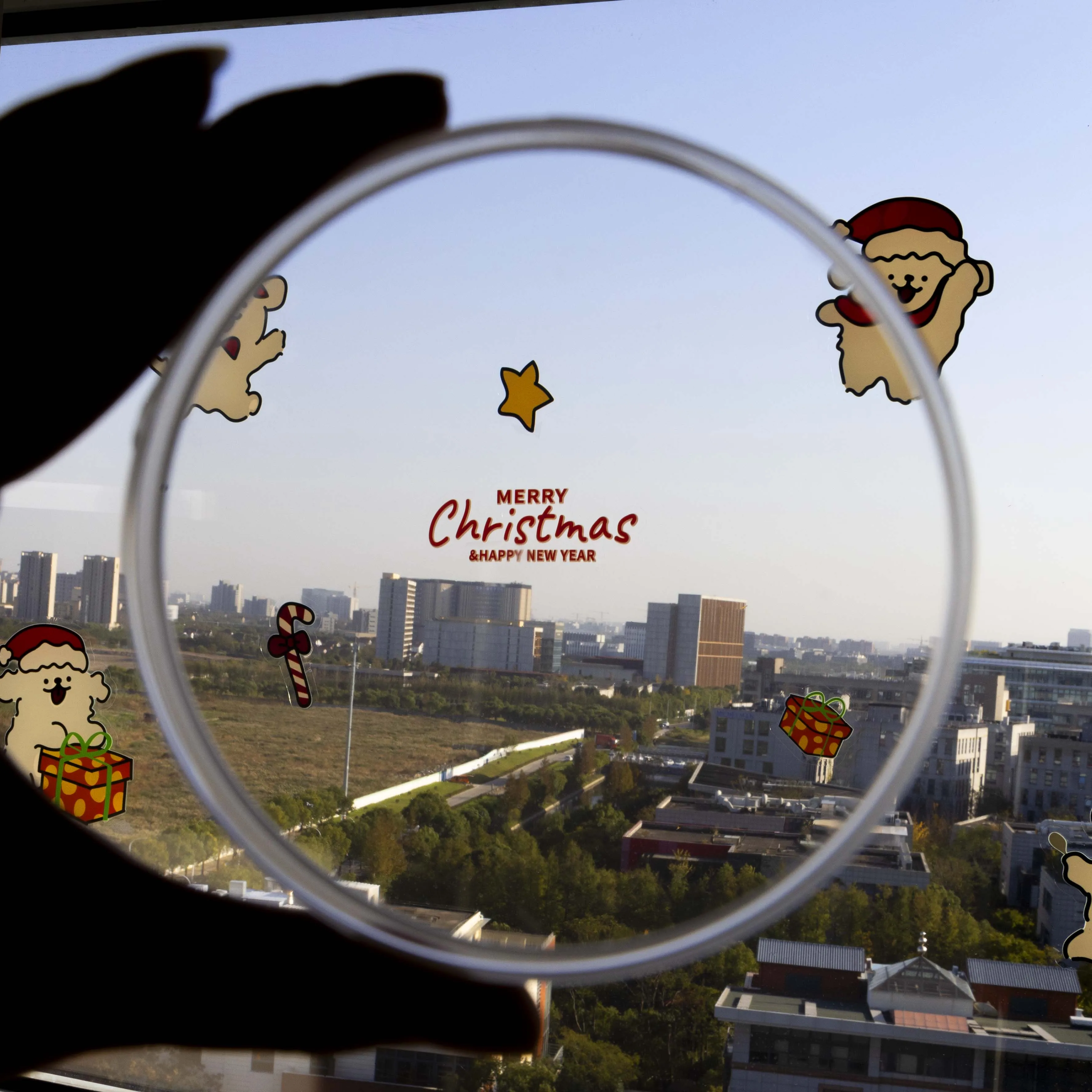 Leongy Dental PMMA Block Clear Acetal Disc Acrylic Resin For Dentures