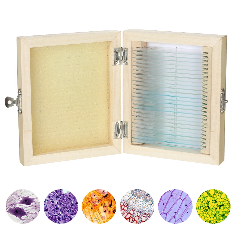 High Quality Mixed 25 pcs Plant Animal Microscope Prepared Slides In Wooden Box