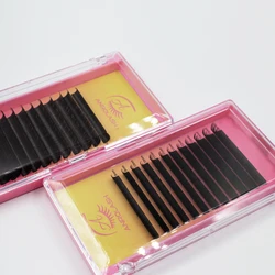 Anroalsh Volume Matte Cheap Wholesale Individual Lashes Mink Eyelash Extension Trays Private Label No Moq