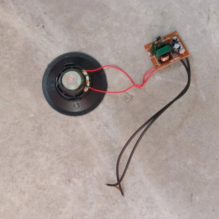 bird sound circuitboard