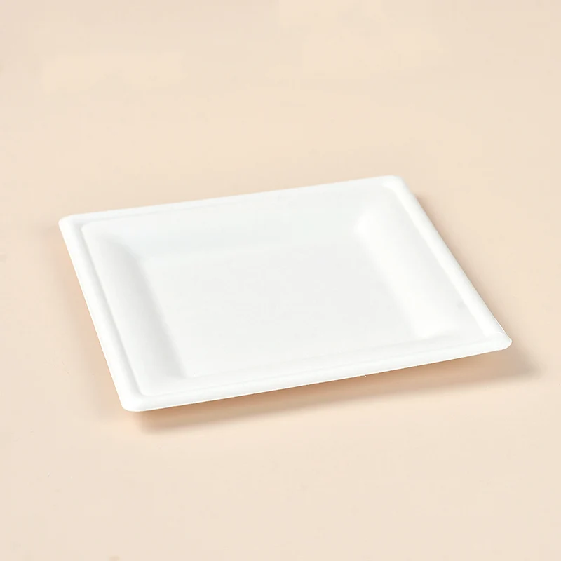 Free Samples disposable sugarcane tableware 9inch compostable bio degradable bagasse paper plate
