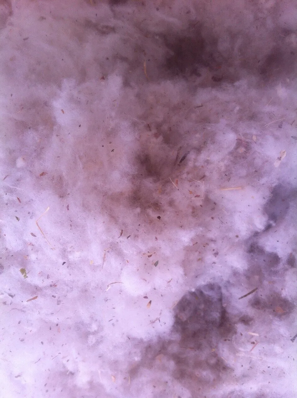 Airflow recovery machine recovers cotton fiber impurities