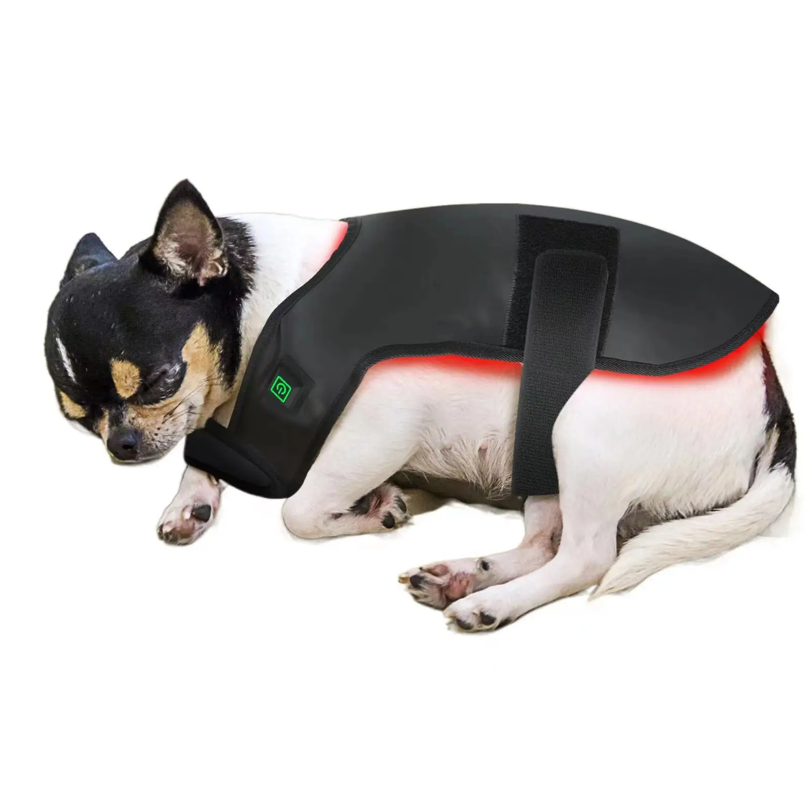 2023 New Design Animal Therapy 850nm Red Light Therapy Belt Infrared Wrap  Pulse 10Hz Injury Recovery