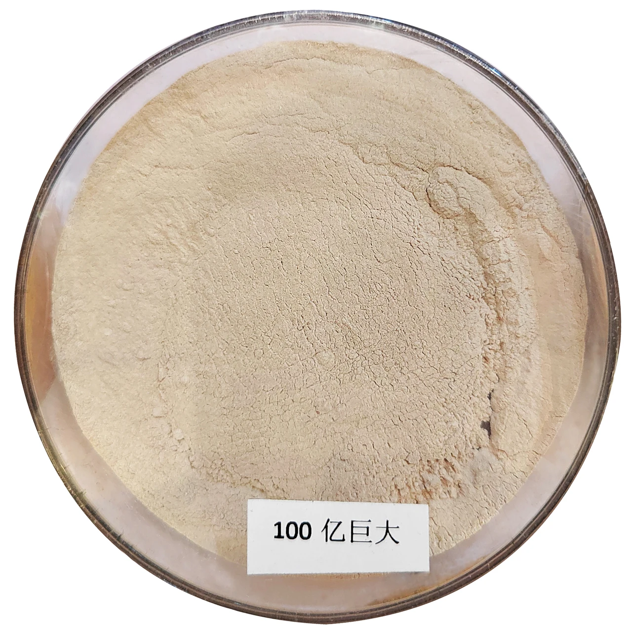 High Quality Degradable Organic Substance 10 Billion Bacillus Subtilis for Feed Grade Use in Fish