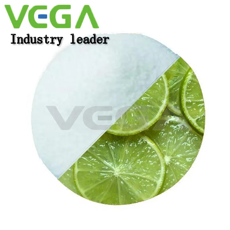 
VEGA High Quality Competitive Price Coated Sodium Butyrate 30% 50% 90% 