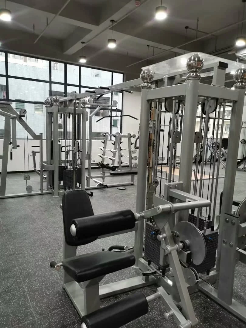 Gymnastics Equipment 8 Station Jungle Gym All Muscle Strength Training in One Machine
