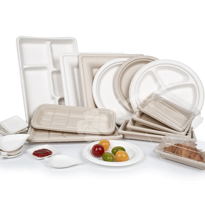 Square Disposable Compostable Sugarcane Baggesse Pulp Tableware 9 inch 10 Inch Biodegradable Sugarcane Bagasse plates