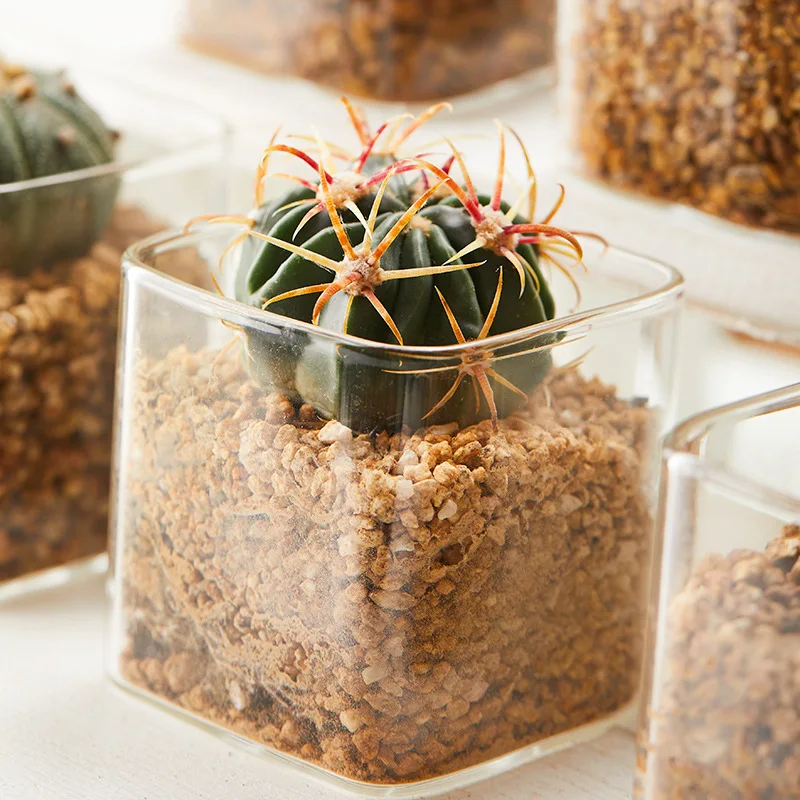 New style square small succulent pot indoor succulent planter pot