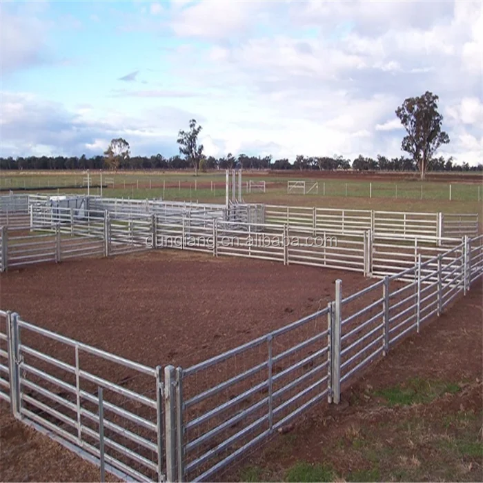 metal livestock farm fence gate for cattle sheep or horse