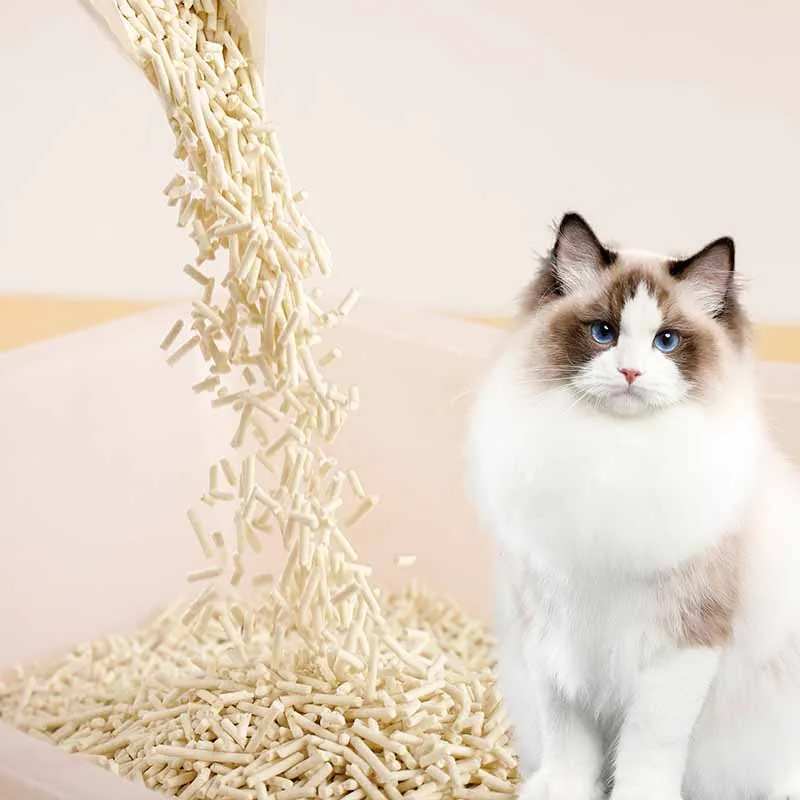 Premium Tofu Cat Litter Flushable For Your Favorite Cats China Supplies Manufacturer