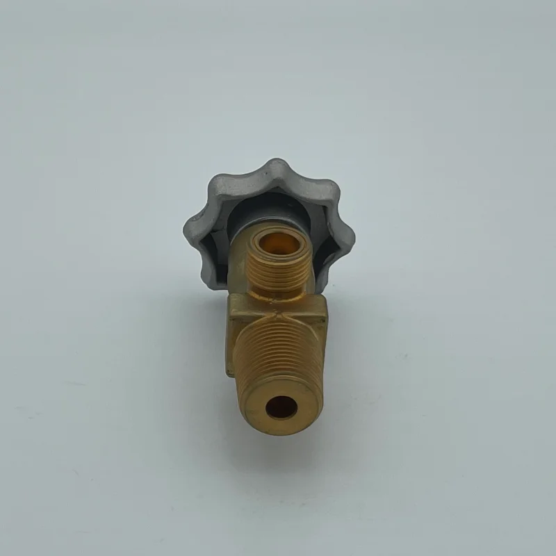 2023 High Pressure CO2 Gas Cylinder Handweel Valve Thread W21.8