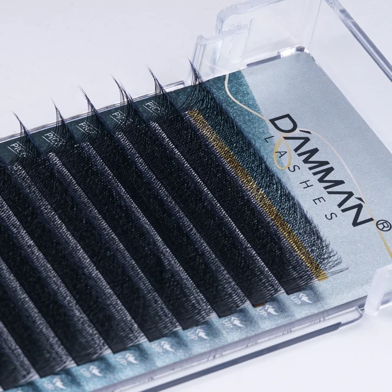 Dammansen 5D Lash Top Factory 5 Fans Eyelash Extensions Korea PBT Eyelash Extensions