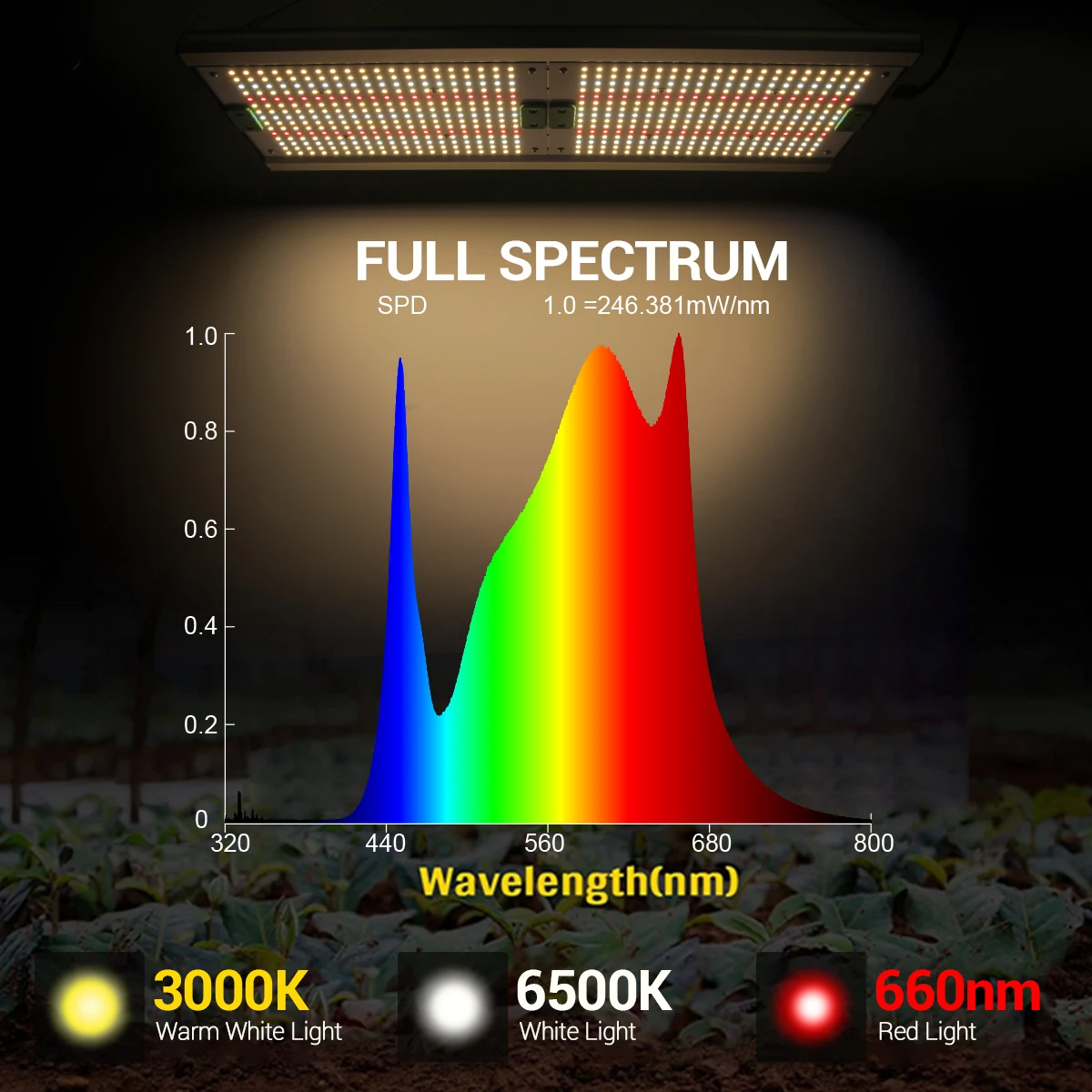 LED Grow Light Hydroponic Greenhouse 240W Full Spectrum LED Grow Light For Indoor Medical Plants