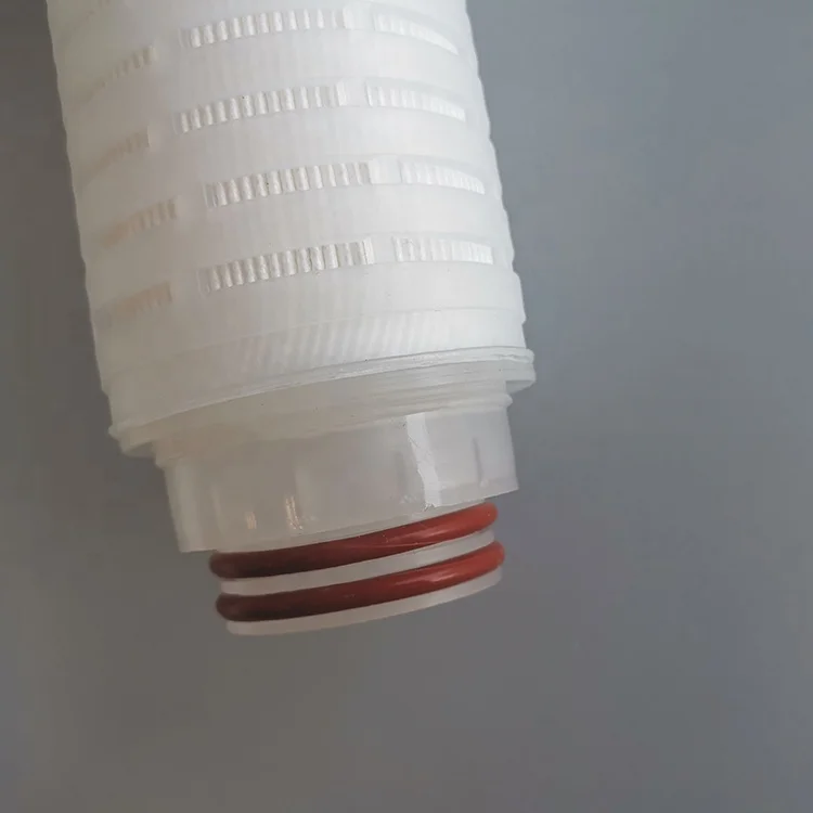 Gas filtration 10inch 0.45um hydrophobic PTFE membrane filter cartridge filter