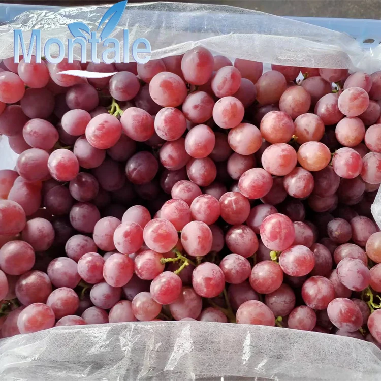 100% Natural Fresh Purple Grapes Super Sweet Grapes