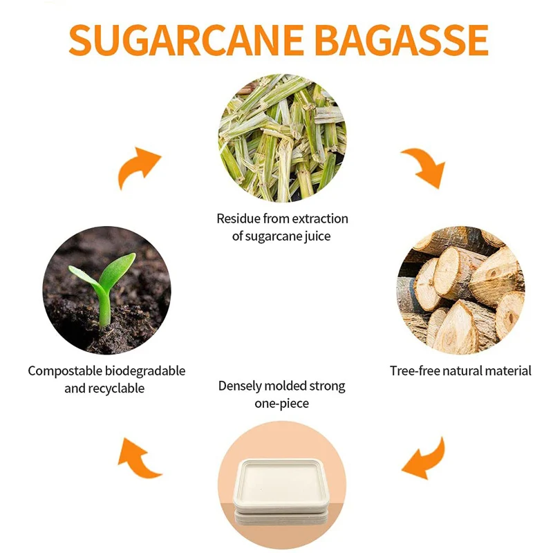 Biodegradable disposable bagasse food lunch tray heavy duty seashell prep meal sugarcane fiber tray for restaurant hotel picnic