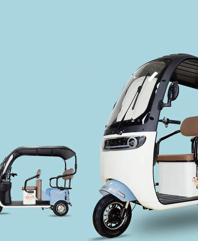 Factory Direct Price Leisure Electric Tricycle Bike With Rain Cover