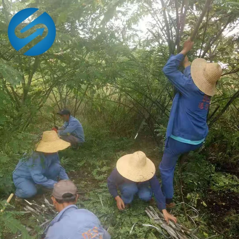 Wax Shellac Wax CAS 97766-50-2 shellac 97766502