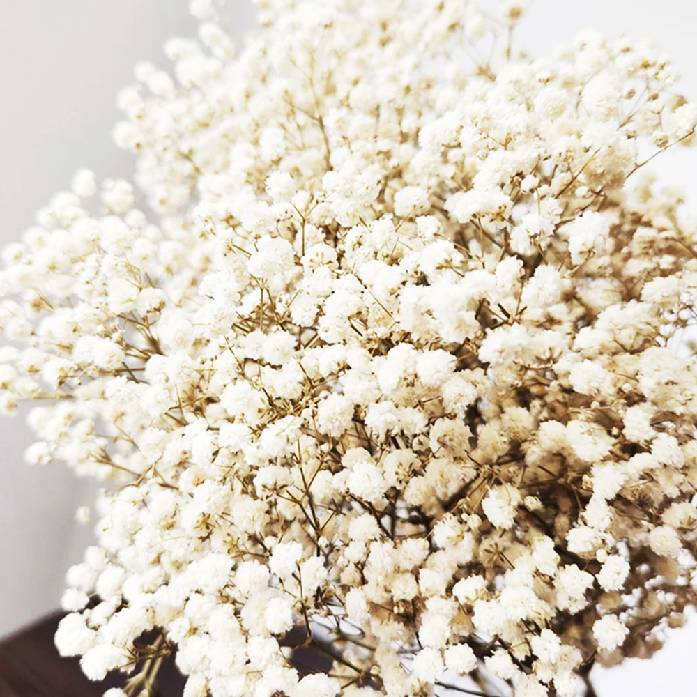 tiny dry flower fo resin art high quality pressed dried flowers sheet Yunnan real 100 natural dried male papaya flower