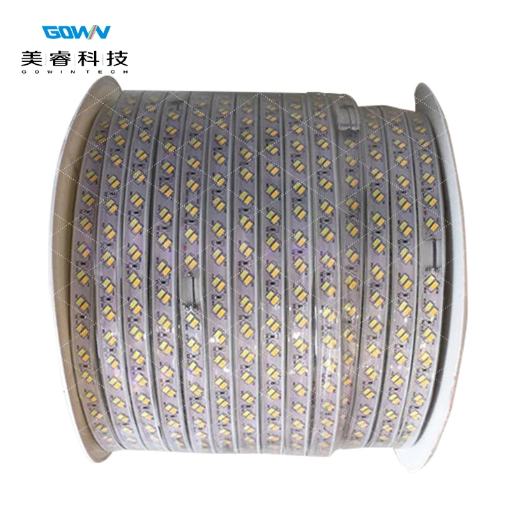 2020 Newly Developed AC110 220V smd 5730 led strip Dual Color Double White For Landscape