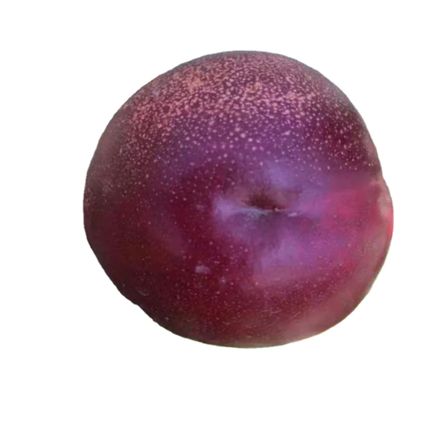 Хорошие вариации свежих нектаринов