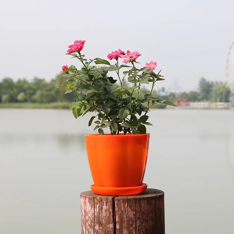 Colorful round Green Succulent Plant Flowerpot for Flower Pots & Planters