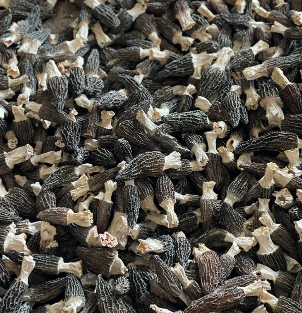 wholesale morel mushrooms 4-6cm Delicious edible raw dried morel mushrooms for sale